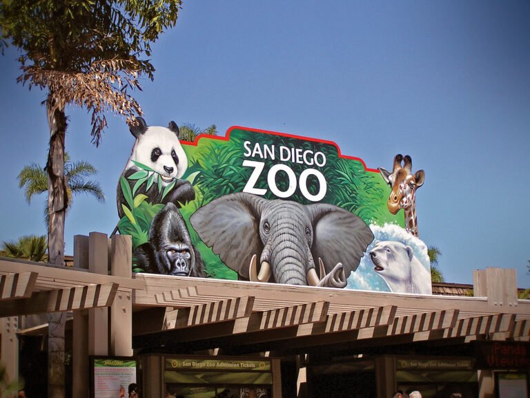 What to do with a 7 year old in San Diego?