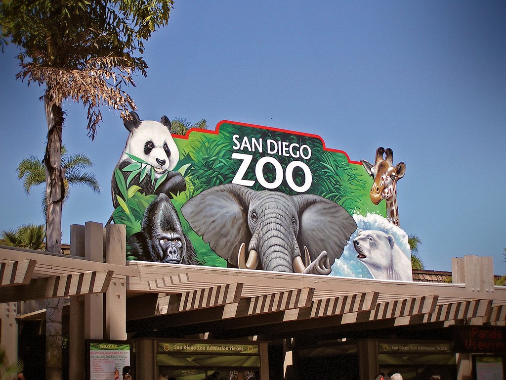 What to do with a 7 year old in San Diego?